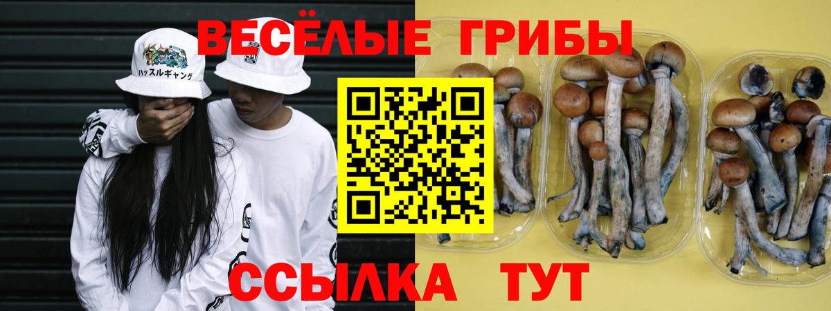 Галлюциногенные грибы ЛСД  Вход с VPN  Ярцево 